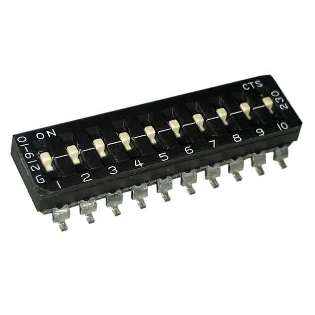 219-10LPSR CTS公司拨码开关现货图片