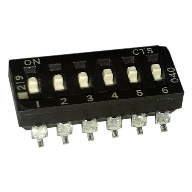 219-6LPS CTS公司拨码开关现货图片