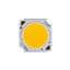 CMU1006-0000-00PN0U0A40G